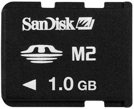 Kingston/sandisk 1GB M2 card