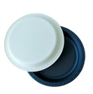 Biodegradable eco-friendly compostable disposable tableware plates (50 pcs.).