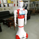 Custom receptionist service robot.