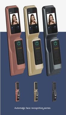 Smart door lock with camera and face recognition M009. Smart door lock with camera and face recognition M009.